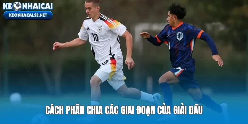 Cách phân chia các giai đoạn của giải đấu
