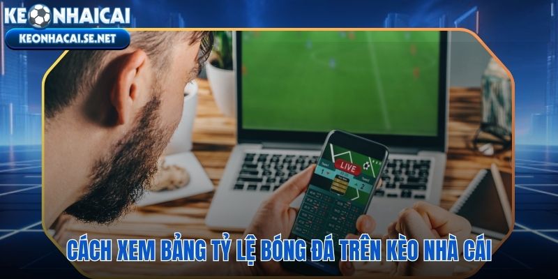 Bảng tỷ lệ bóng đá cập nhật 24/7 với live odds biến động liên tục
