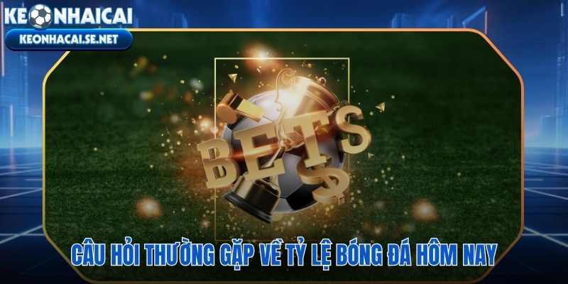 Giải đáp nhanh các thắc mắc phổ biến về tỷ lệ bóng đá hôm nay