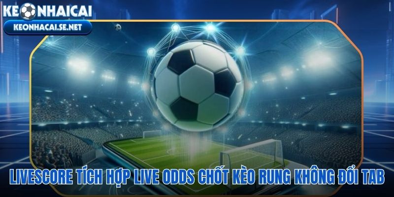 Tỷ lệ bóng đá trực tuyến và livescore hội tụ trên một giao diện duy nhất