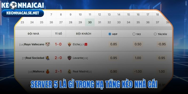 Tỷ lệ kèo nhà cái 5 máy chủ độc lập băng thông riêng biệt