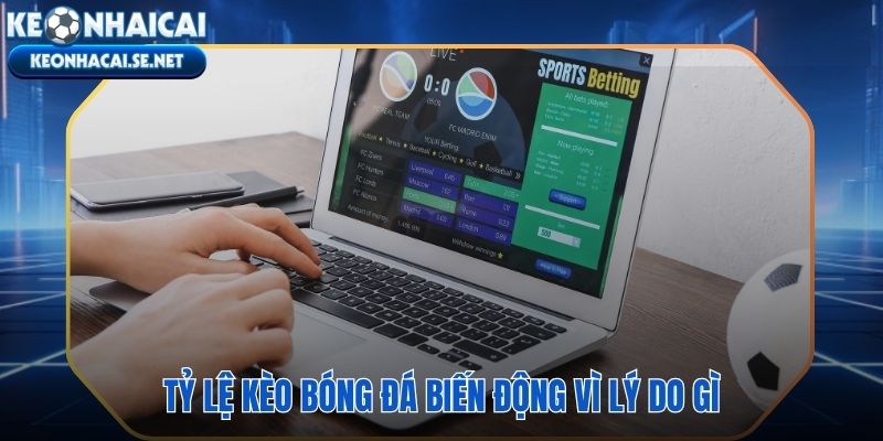 Odds dịch chuyển theo từng giờ phản ánh mọi thay đổi xung quanh trận